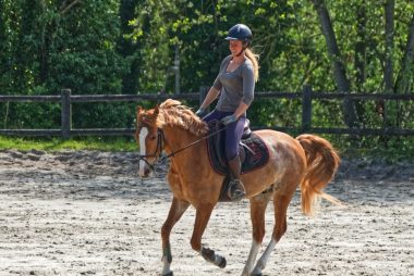 Cavalière à l’entraînement